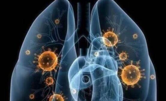 抵抗新冠肺炎的根本防线是提高免疫力