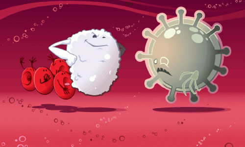 肠道微生物与多种疾病的发生发展有关